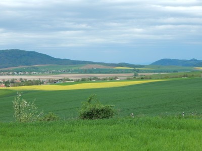 Iskolánk tanulói Cereden.